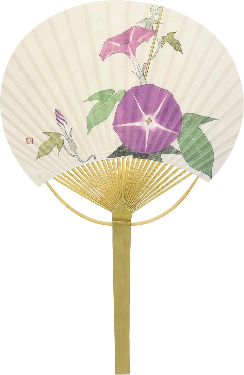 Shikoku Marugame Uchiwa Fan – Morning Glory Japanese Bamboo Hand Fan 23 × 36.5cm