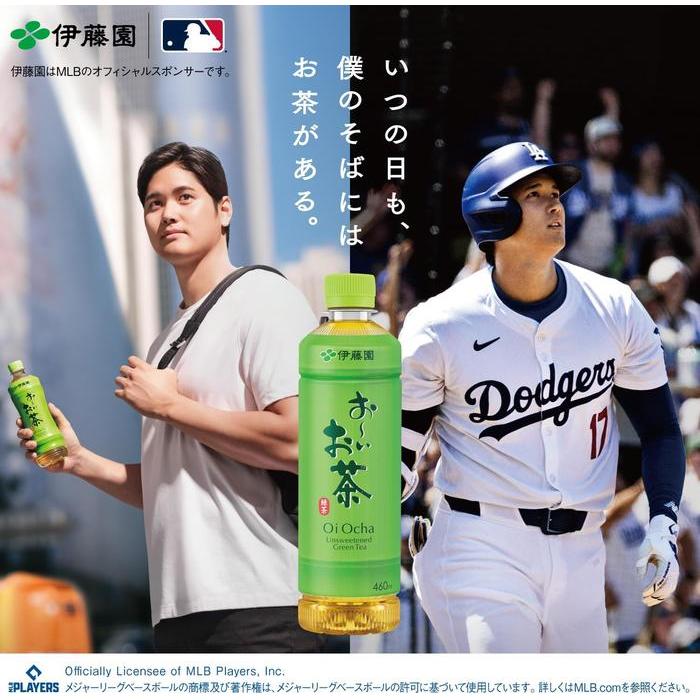 Ito En Oi Ocha Japanese Green Tea 600ml – Unsweetened Authentic Bottled Sencha Tea