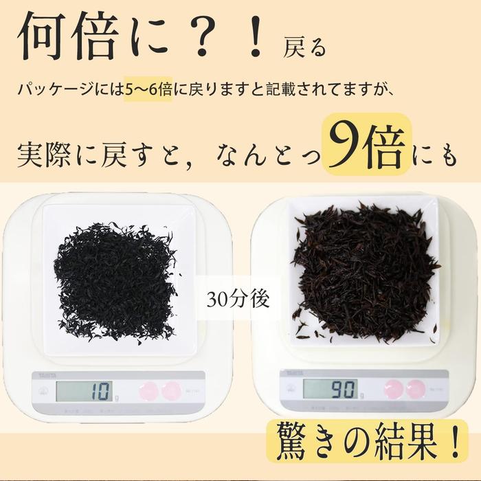 Brotes de Hijiki Secos Ocean Bussan 1kg