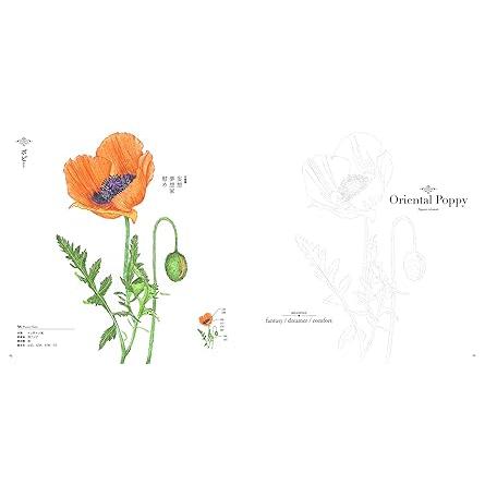 The Coloring Book of Botanical Flowers – with Their Symbolisms (U-CAN’s At-Home Series)