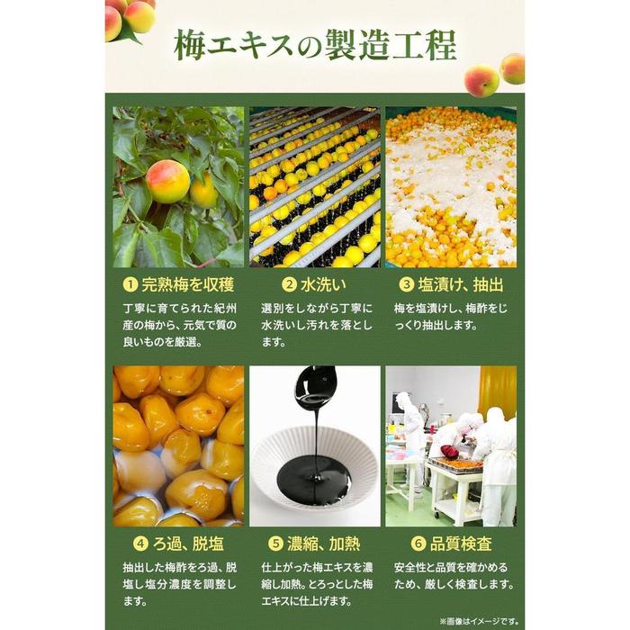 Saiwa Shoten Ume Extract Kishu Plum Concentrate 70 g