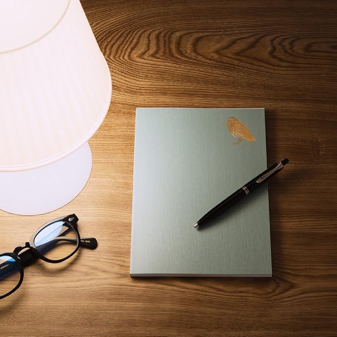 Midori Notebook Diary with Owl Motif – Relaxed Nighttime Journal