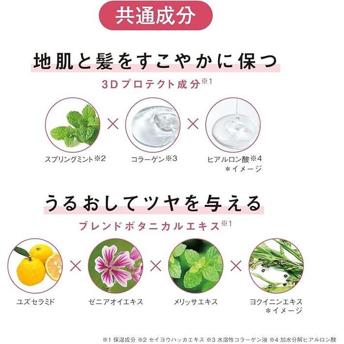 ORBIS Quasi-drug Scalp Refining Shampoo – Refreshing Scalp Care 250mL [Alcohol-Free]