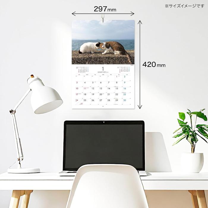 Calendrier mural 2027 des chats des îles de Masayuki Oki – Chats joueurs et libres d'esprit [Édition japonaise]