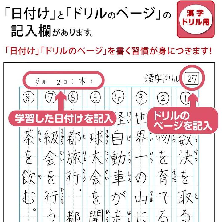 Kyokuto College Tier Kanji Übungsheft – B5, 120 Zeichen, 5er-Pack