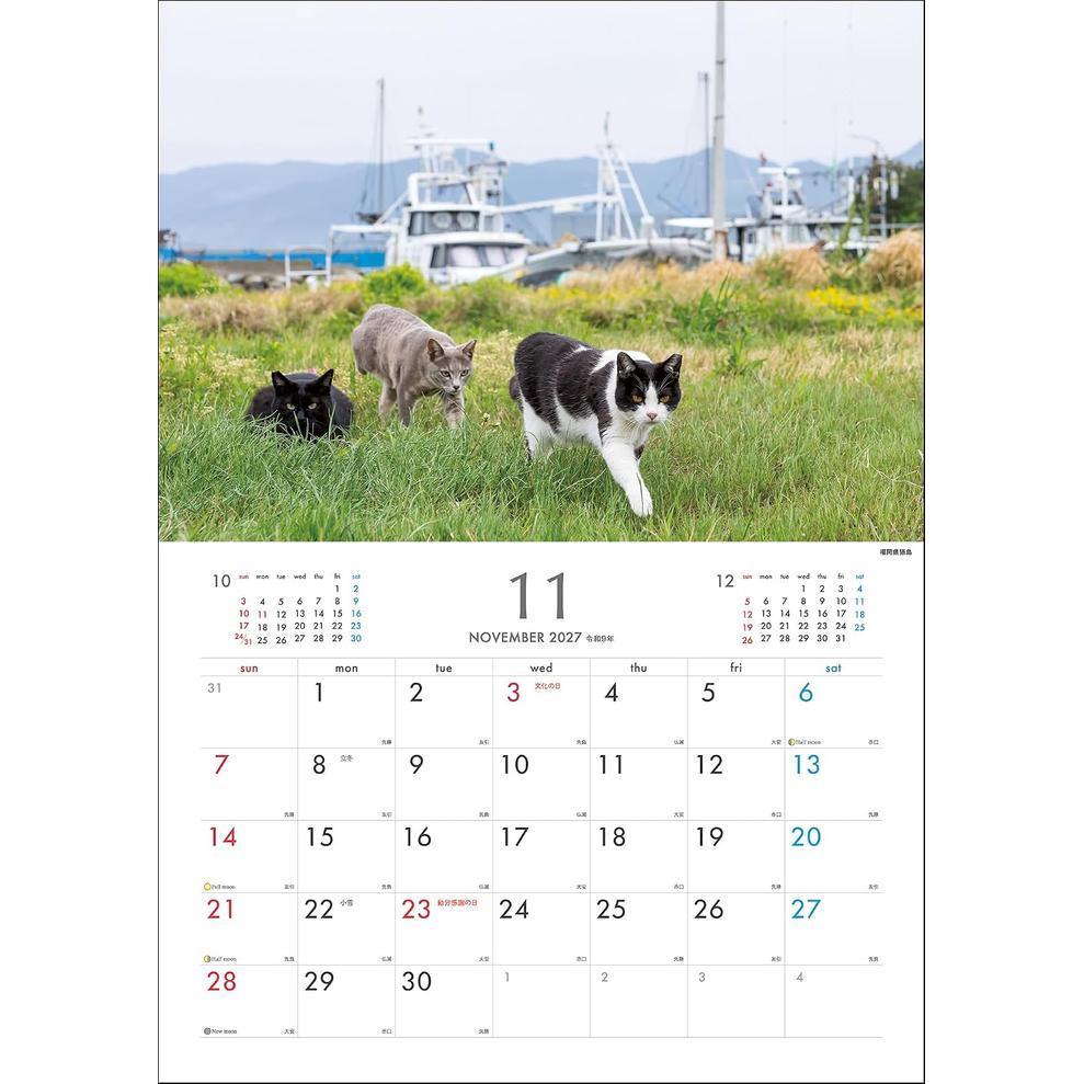Calendrier mural 2027 des chats des îles de Masayuki Oki – Chats joueurs et libres d'esprit [Édition japonaise]