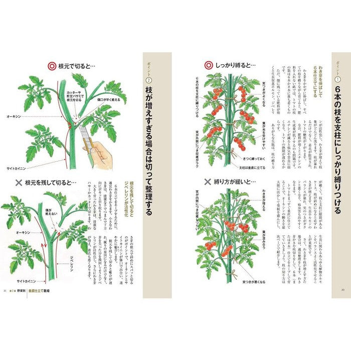 DOUHOU Style Illustrated Gardening Manual (DOUHOU SUTAIRU YASAI NO SUICHOKU SHITATE SAIBAI)