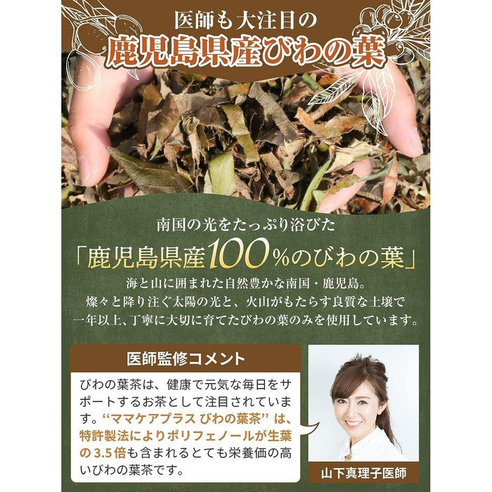 BIWA NO HACHA - *AWARD-WINNING, HIGH QUALITY* Biwa medlar tea 60 bags