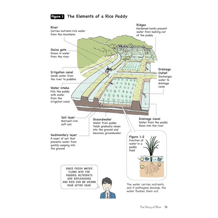 The Manga Guide to Japanese Food – History, Ingredients & Folklore of Japan’s Cuisine, Illustrated Book