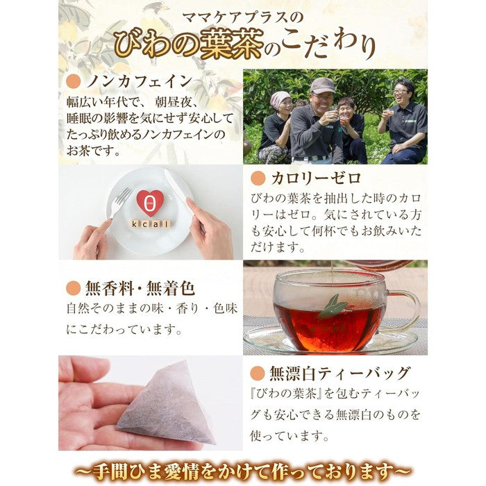 BIWA NO HACHA - *AWARD-WINNING, HIGH QUALITY* Biwa medlar tea 60 bags