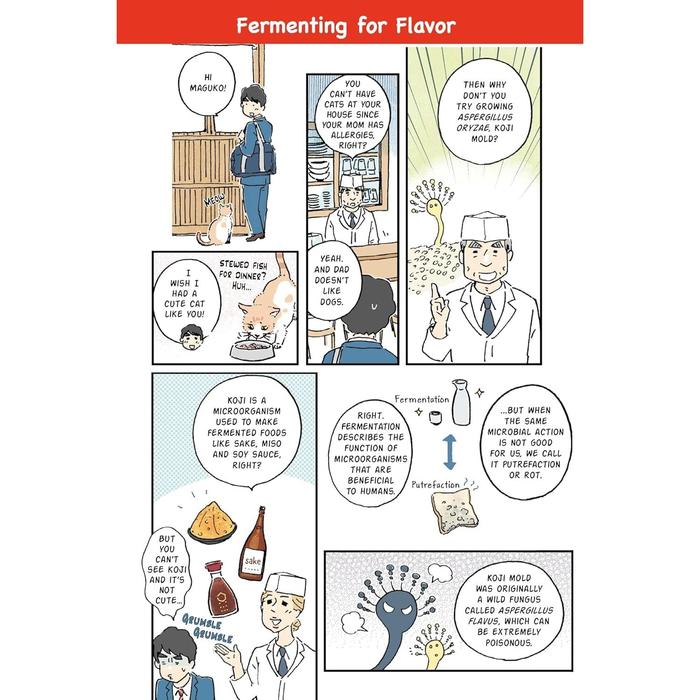 The Manga Guide to Japanese Food – History, Ingredients & Folklore of Japan’s Cuisine, Illustrated Book