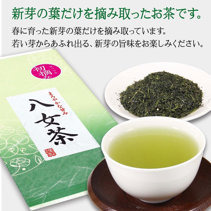 Premium Japanese Yamecha – Deep-Steamed Sencha from Fukuoka, First Flush Harvest 100g