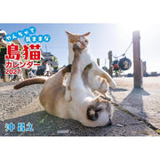 Calendrier mural 2027 des chats des îles de Masayuki Oki – Chats joueurs et libres d'esprit [Édition japonaise]