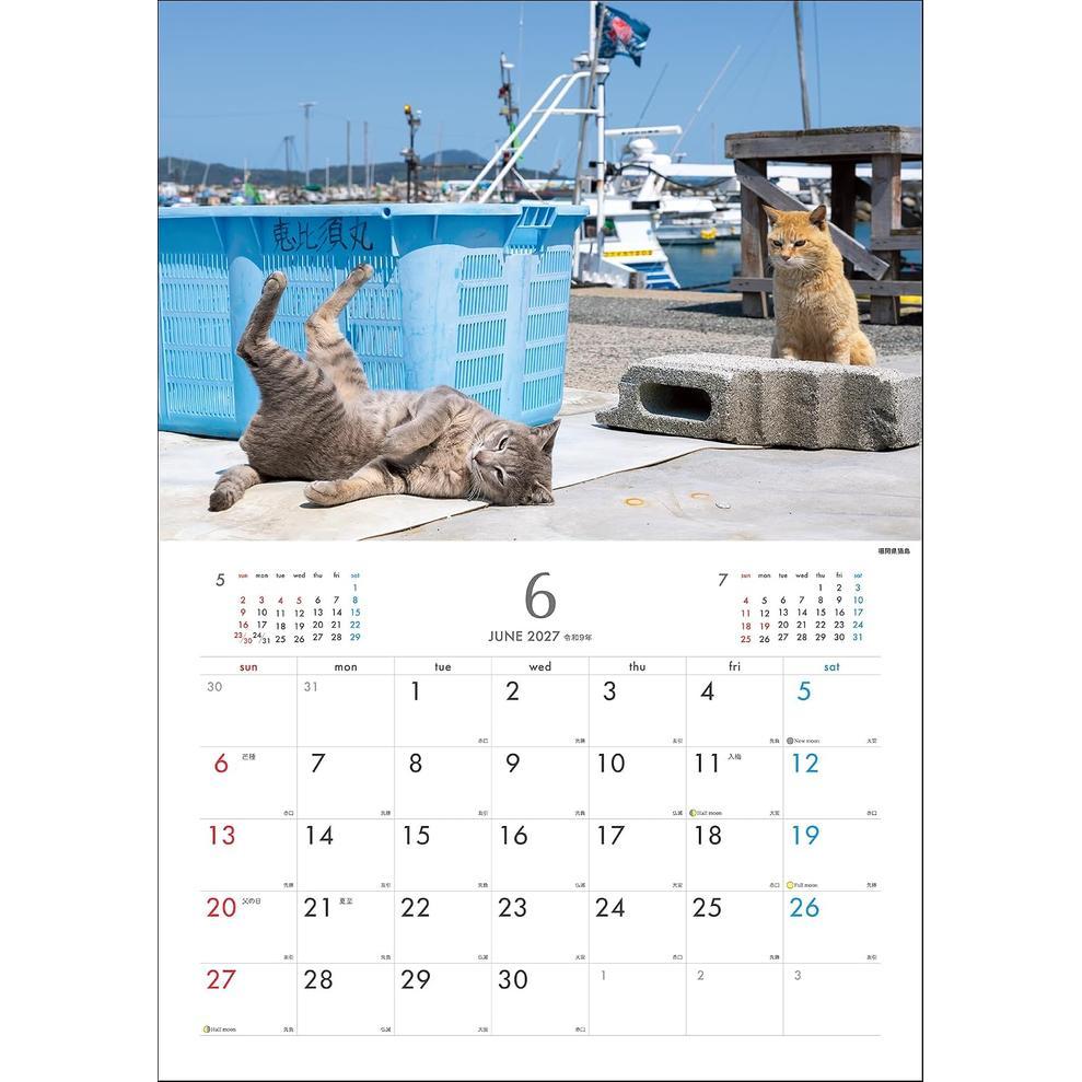 Calendrier mural 2027 des chats des îles de Masayuki Oki – Chats joueurs et libres d'esprit [Édition japonaise]