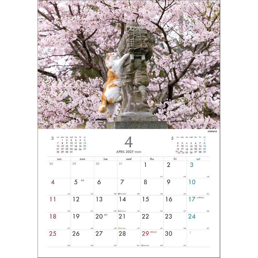 Calendrier mural 2027 des chats des îles de Masayuki Oki – Chats joueurs et libres d'esprit [Édition japonaise]
