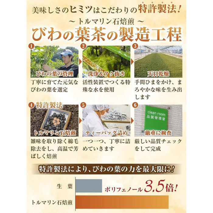 BIWA NO HACHA - *AWARD-WINNING, HIGH QUALITY* Biwa medlar tea 60 bags