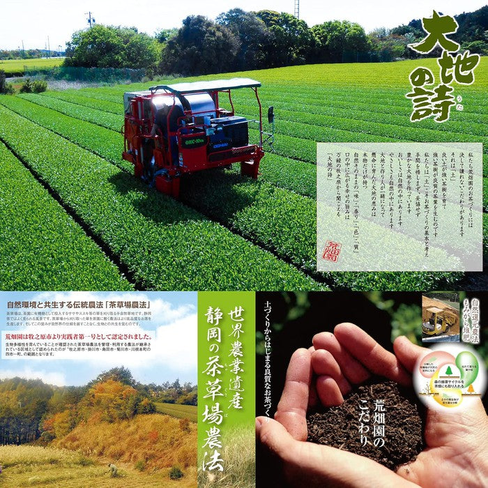 Shizuoka Deep-Steamed Tea “Daichi no Uta” Makinohara Brand – Nozomi Silver Label Kabusecha, 100g