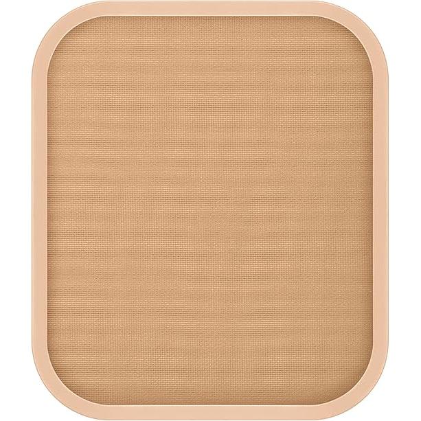 est Illuminating Powder Foundation SPF21 PA++ 10g [Alcohol-free]