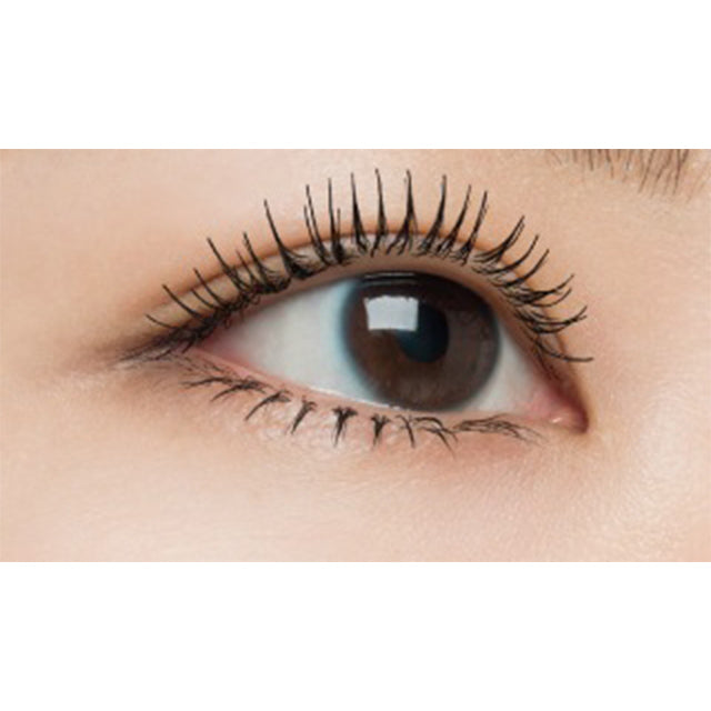 CANMAKE Quick Lash Curler Collection – Original, ER, Separate & Remover