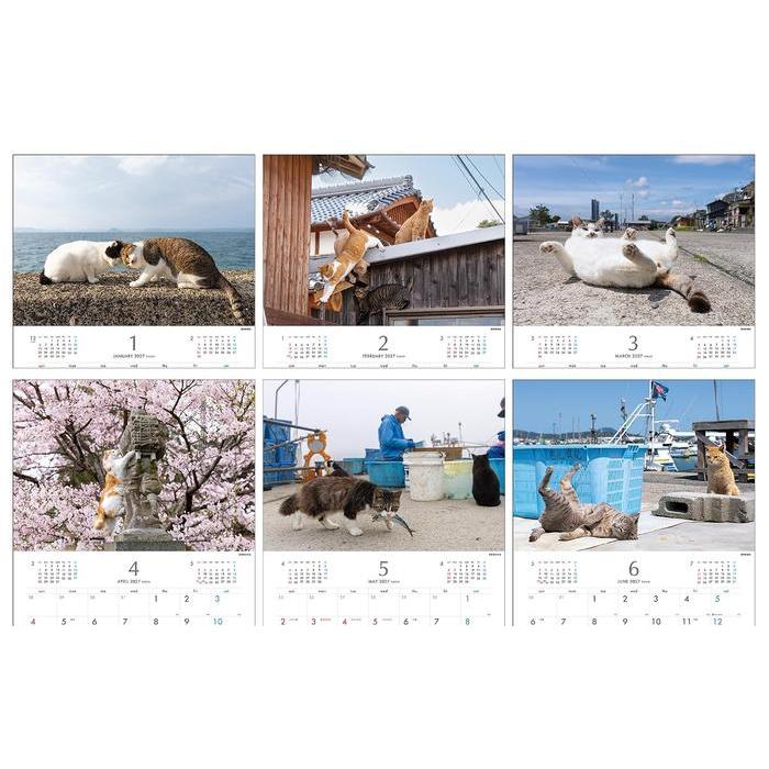 Masayuki Oki 2027 Island Cats Wall Calendar – Playful & Free-Spirited Cats [Japanese Edition]