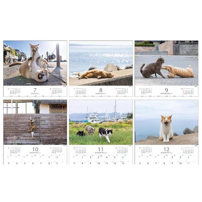 Masayuki Oki 2027 Island Cats Wall Calendar – Playful & Free-Spirited Cats [Japanese Edition]