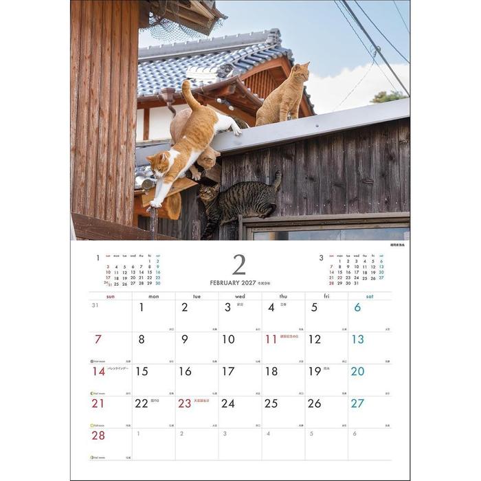 Masayuki Oki 2027 Island Cats Wall Calendar – Playful & Free-Spirited Cats [Japanese Edition]