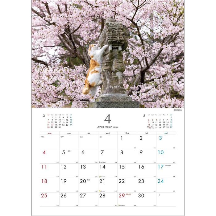 Masayuki Oki 2027 Island Cats Wall Calendar – Playful & Free-Spirited Cats [Japanese Edition]