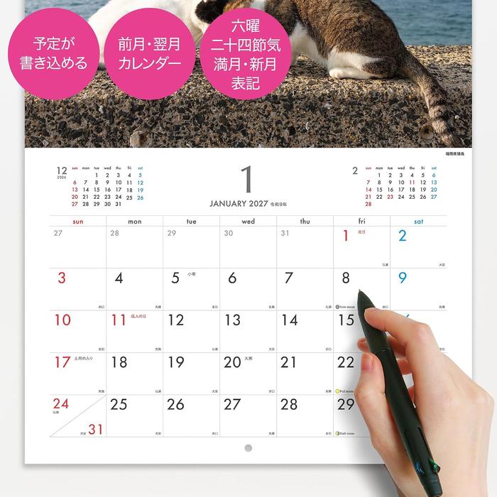Masayuki Oki 2027 Island Cats Wall Calendar – Playful & Free-Spirited Cats [Japanese Edition]