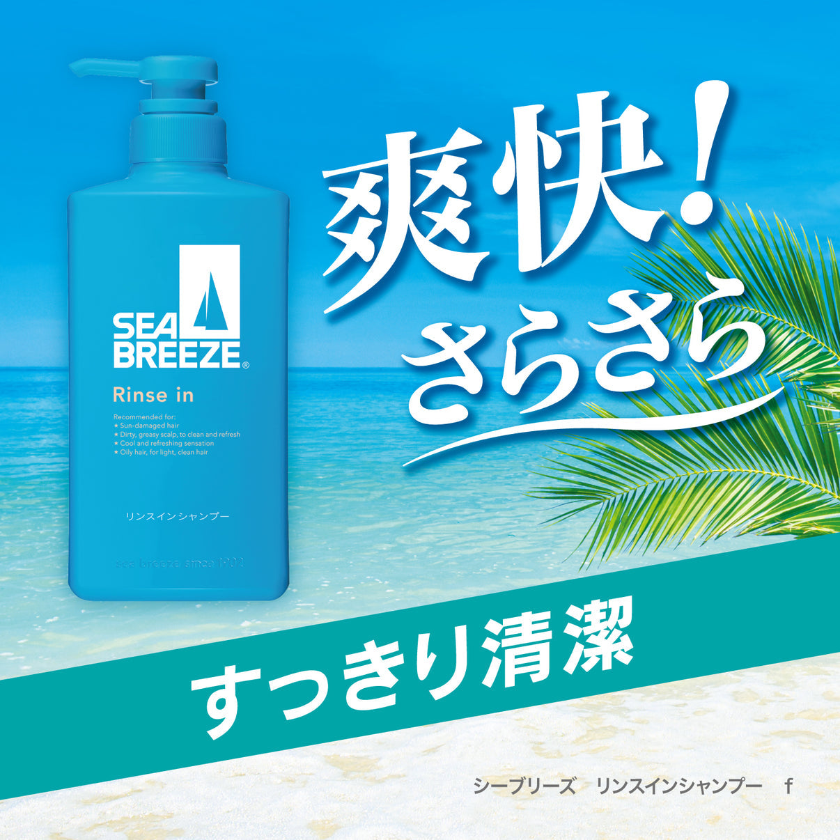 Sea Breeze Rinse In Shampoo – Refreshing Care with a Gentle Finish, 490ml [Alcohol-Free]