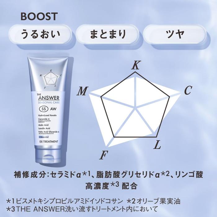 THE ANSWER Seasonal Care SS EX Treatment 220g – Spring/Summer Hair Mask [With Alcohol]