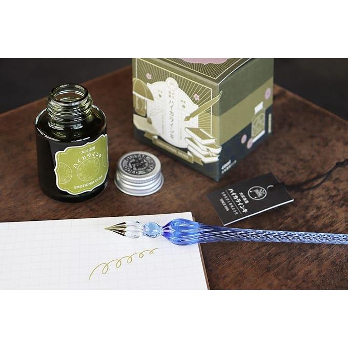 Teranishi Guitar Taisho Roman Haikara Fountain Pen Ink – 40 ml, 12 Colors