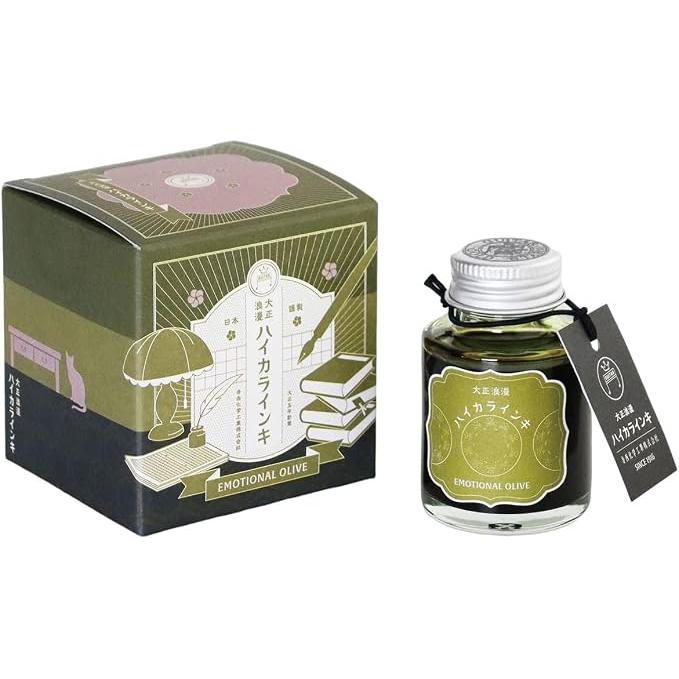 Teranishi Guitar Taisho Roman Haikara Fountain Pen Ink – 40 ml, 12 Colors