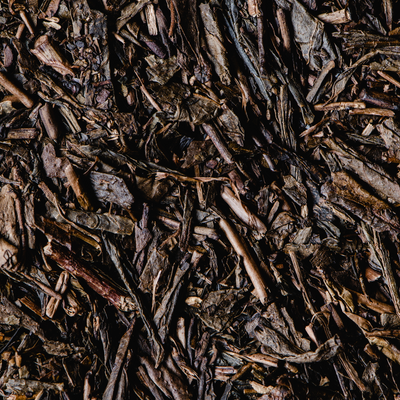 Hojicha