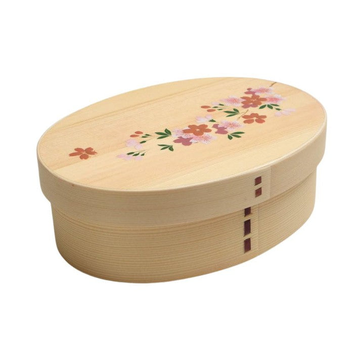 Shiraki Oval Magewappa Bento Box – Natural Wood with Sakura Makie Lacquer Design, Made from Japanese Cedar