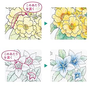 Healing Seasonal Flower Coloring Book – 12 Months of Floral Therapy for Brain & Nerve Health