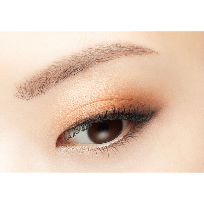 Visee Riche Glossy Rich Eyes N Eyeshadow OR-2 Brownish Orange