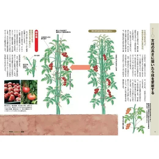 DOUHOU Style Illustrated Gardening Manual (DOUHOU SUTAIRU YASAI NO SUICHOKU SHITATE SAIBAI)