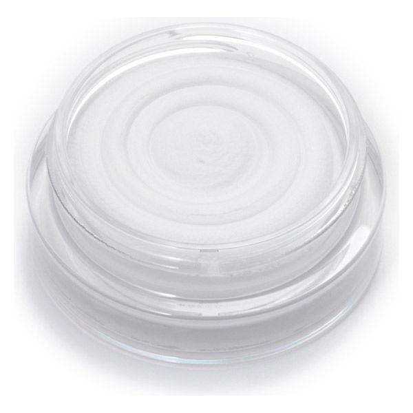 CANMAKE SPF10 PORELESS AIRY BASE - Foundation base covering pores and brightening the skin 9g [With alcohol]