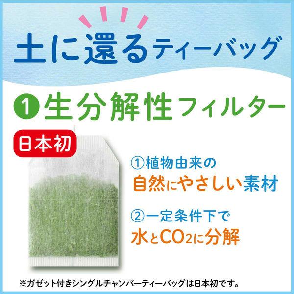 Green tea in rokcha bags plus matcha OI OCHA (20 bags)