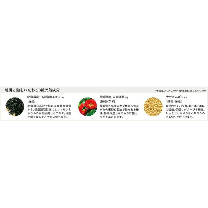 DEITANSEKI JIHADA CARE SHAMPOO - Shampoo based on bentoite clay and charcoal for oily hair 500ml [With alcohol]